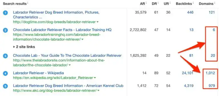 search for chocolate lab