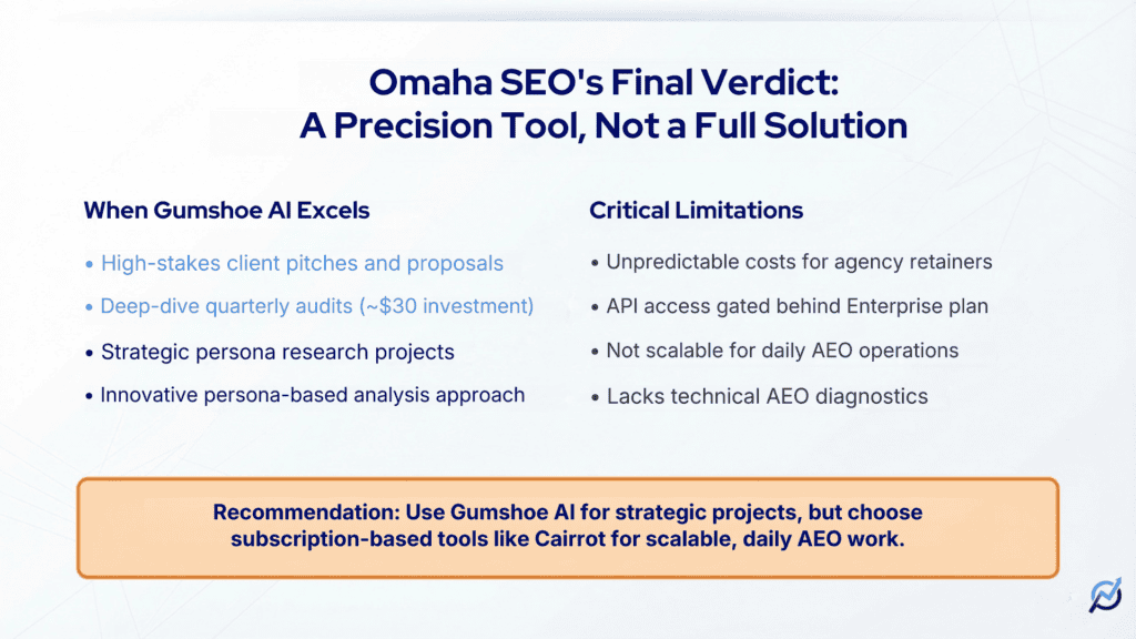 Gumshoe AI Review Final Verdict - Precision Tool